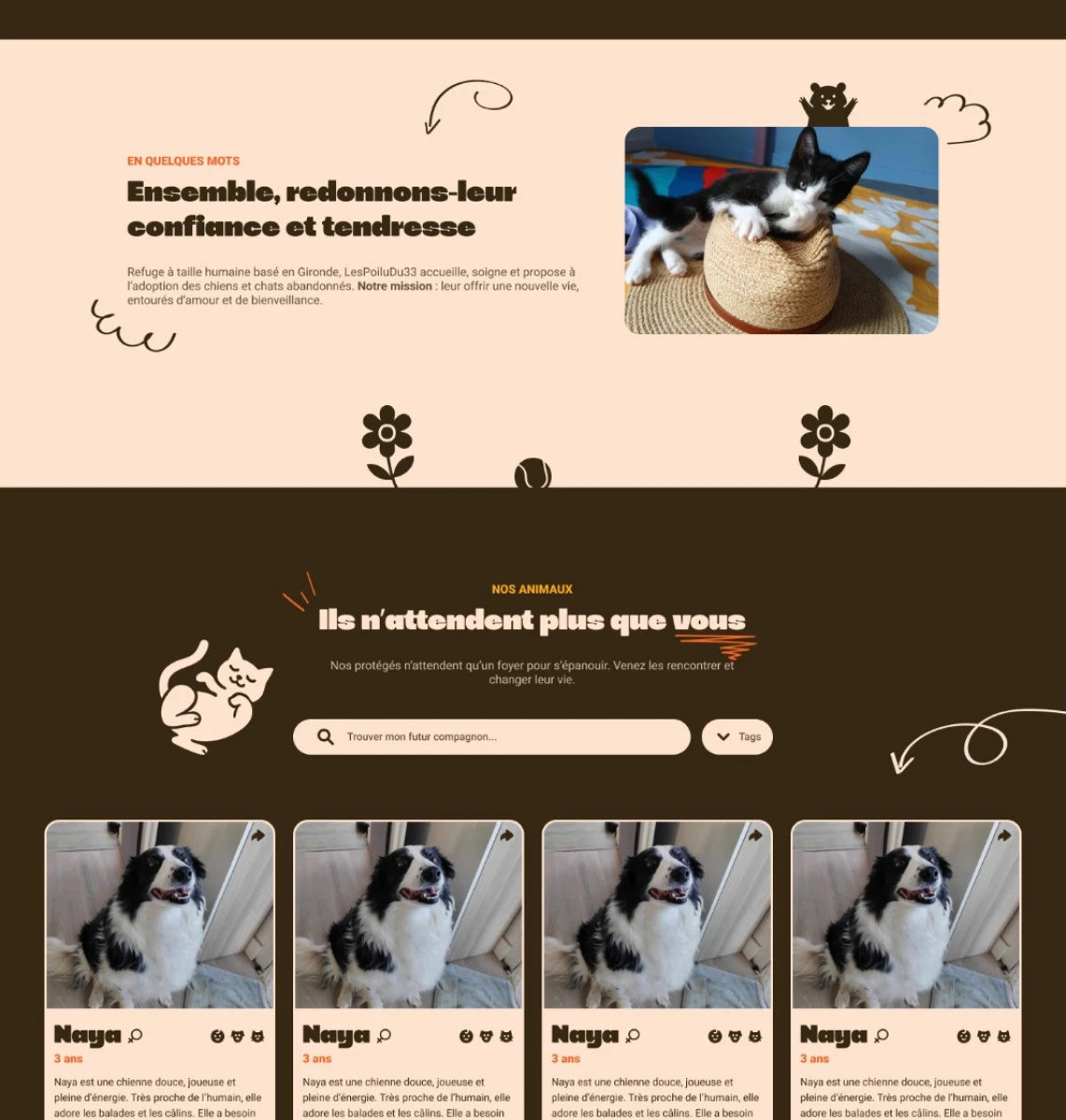 Capture du concept LesPoilusDu33 : présentation du refuge, recherche et cartes d’animaux à adopter.