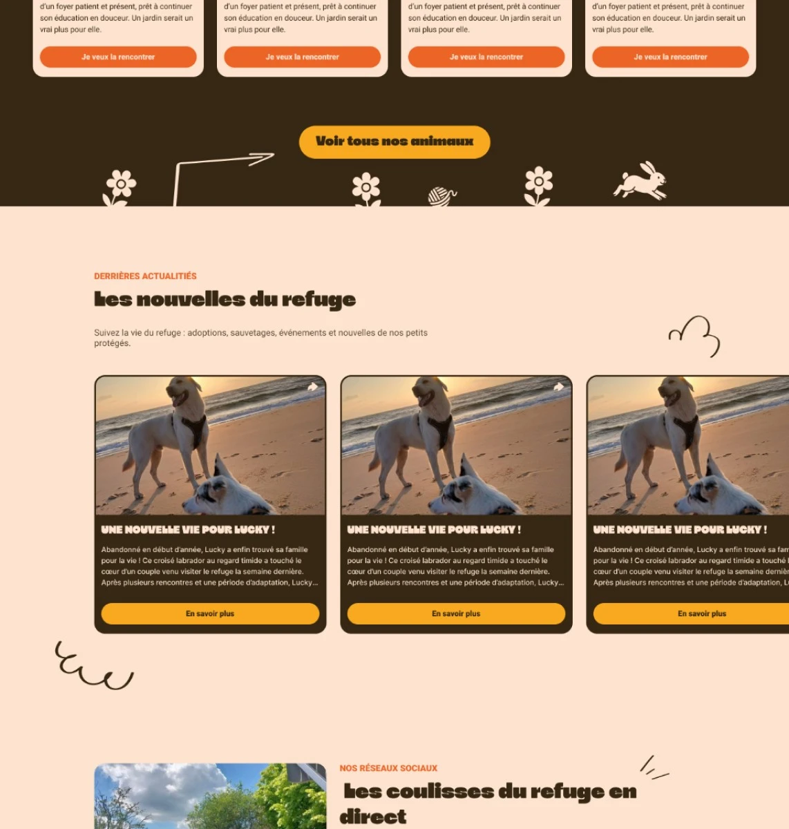 Capture du concept LesPoilusDu33 : cartes d’actualités du refuge et début de la section réseaux sociaux.
